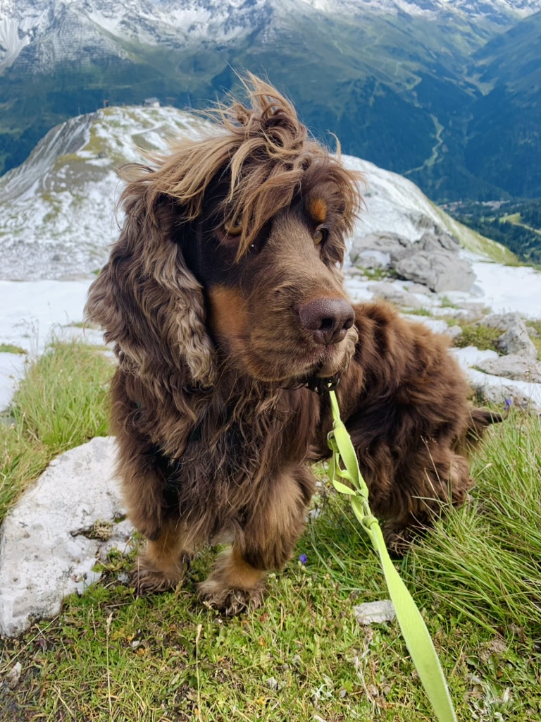 foto of me and austrian landscape